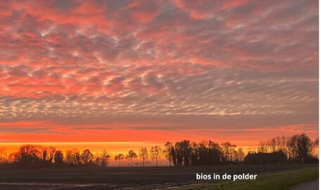 filmhuisdeveenpolder